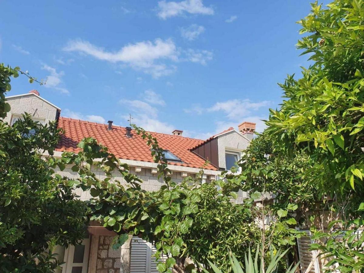 Dubrovnik Tirena Appartement Buitenkant foto